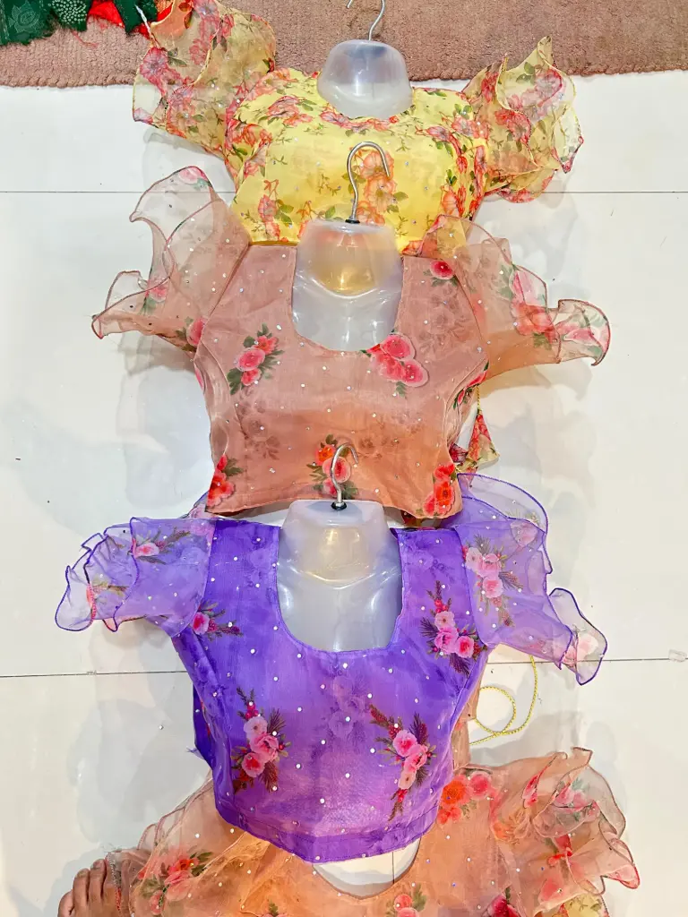 Organza Double Jhul Sleev Blouse