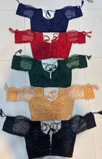 Net fabric 9” balloon sleev katori with aster blouse