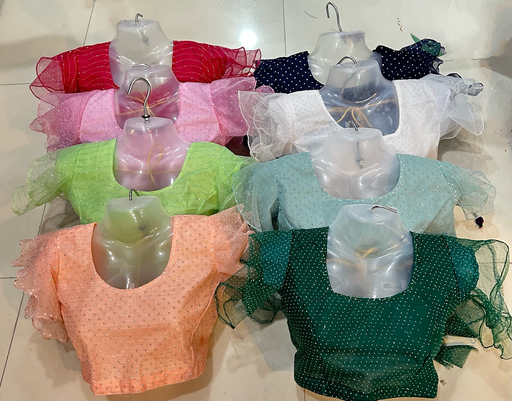 Dotted Net Princess Cut Blouse with Double Jhul Sleeve Border With aster blouse